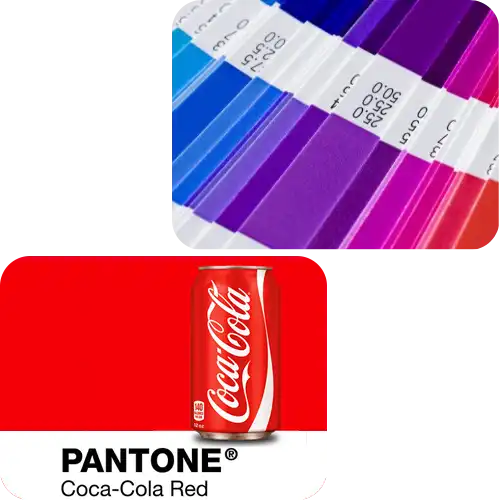 pantone6