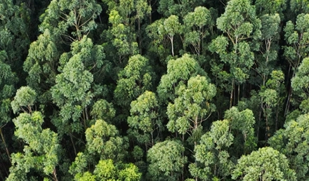 sustainability-3