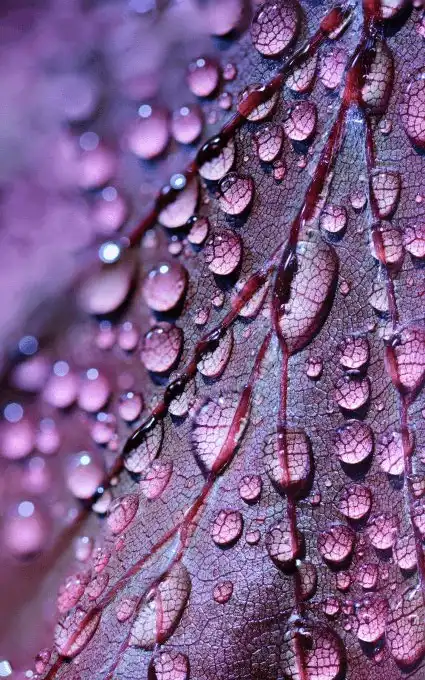 water-droplets2